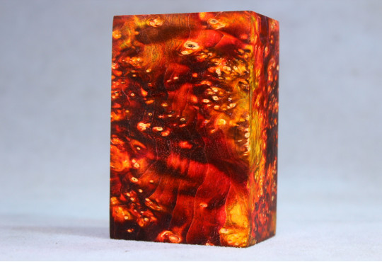 Stabilized Maple Burl Wood Mod Block